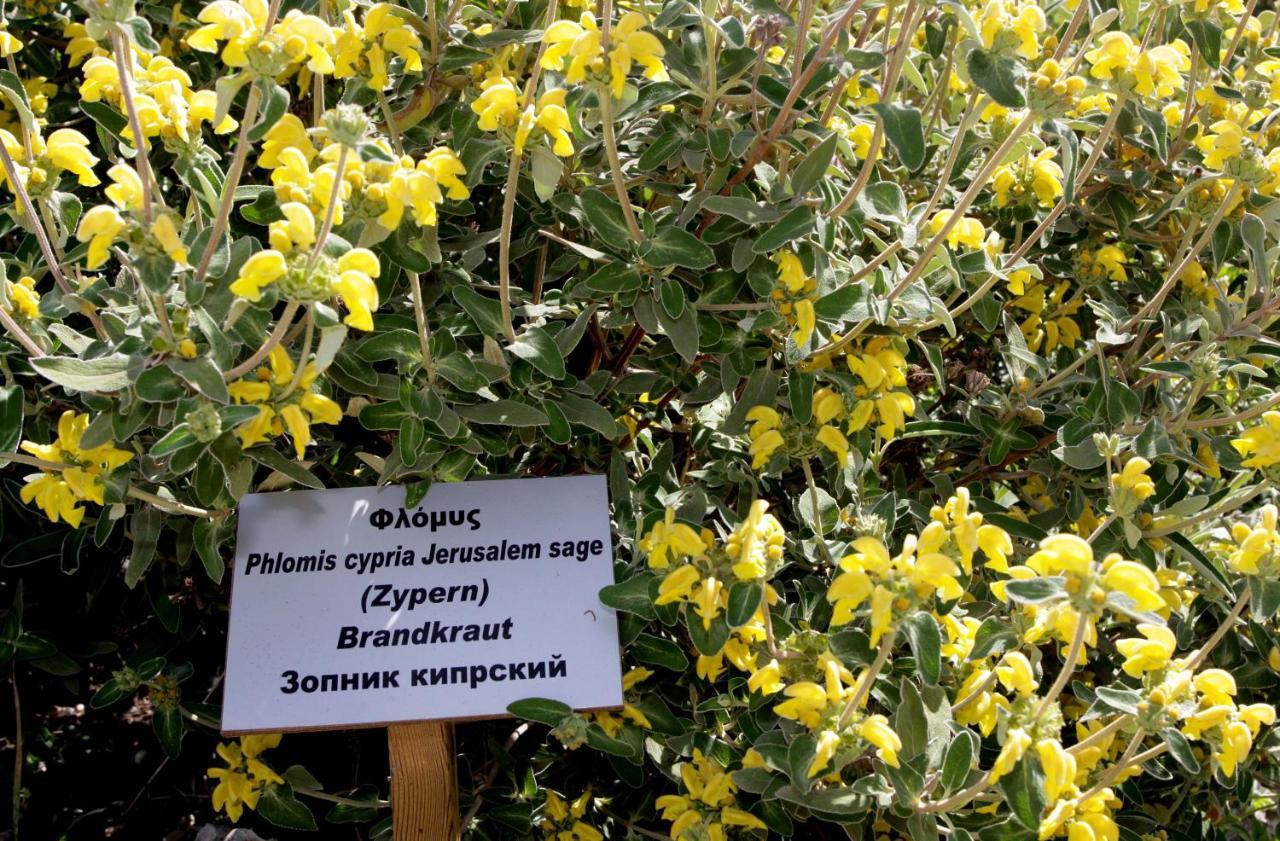 Polis Herb Garden Luaran gambar